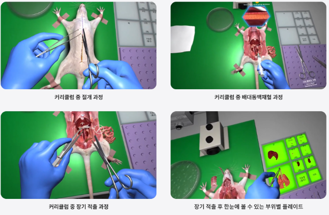 실험동물 부검 실습 실제 화면
